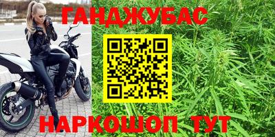 спиды Кингисепп