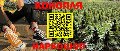 спиды Кингисепп
