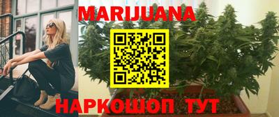 спиды Кингисепп