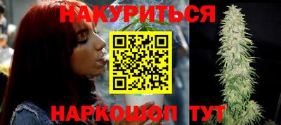 спиды Кингисепп