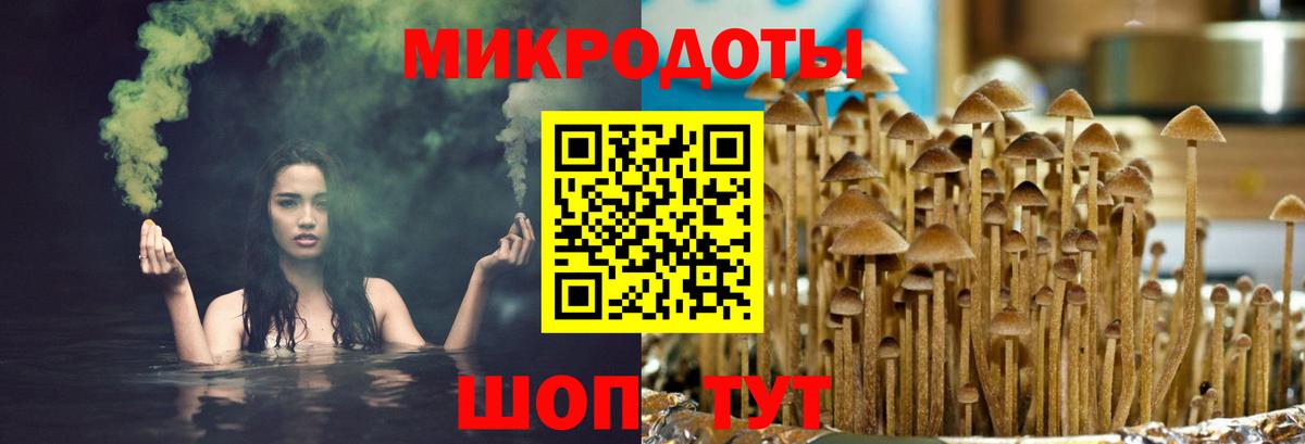 Галлюциногенные грибы мухоморы Кохма