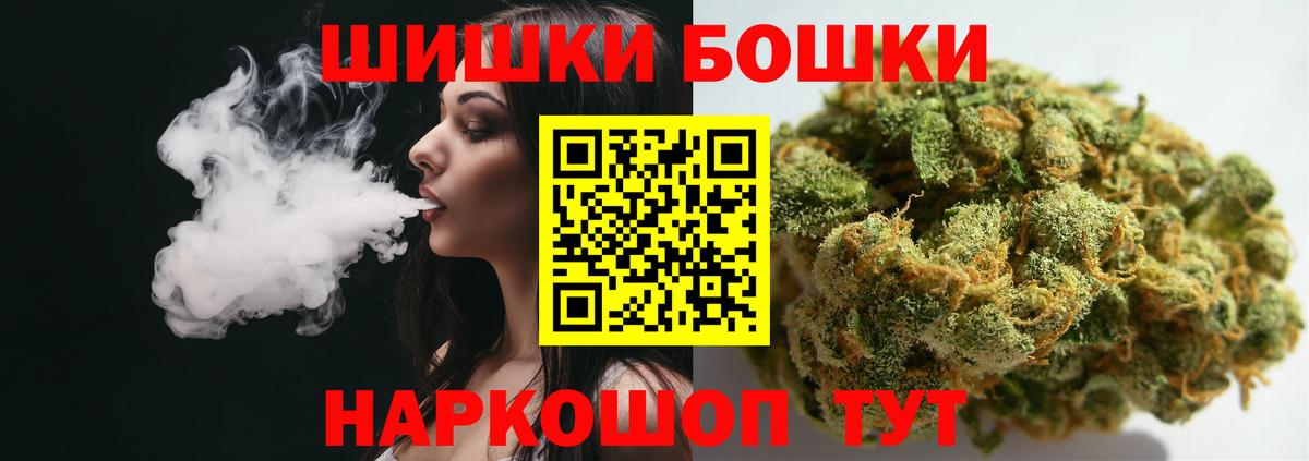 Каннабис планчик Кохма